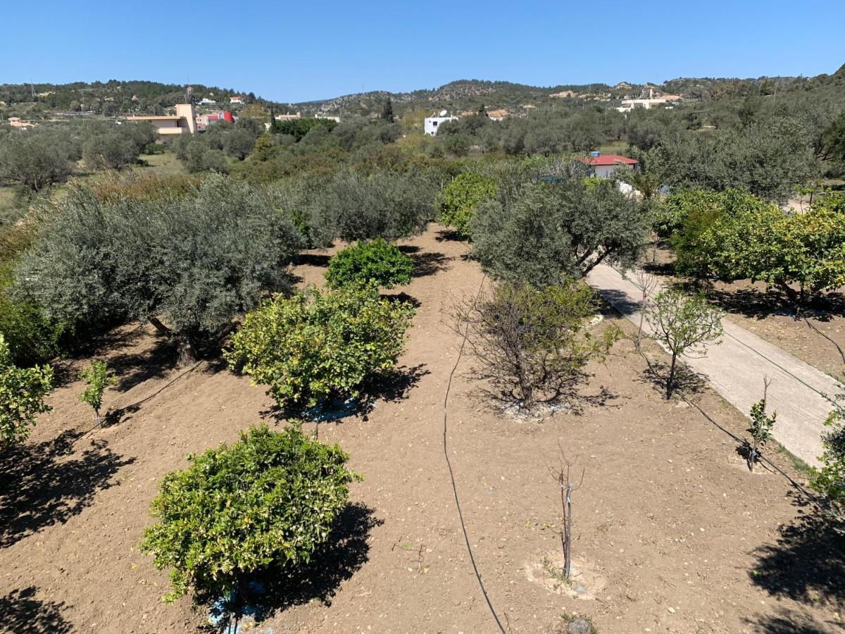 Secret Edem Villa Kolymbia Eksteriør billede
