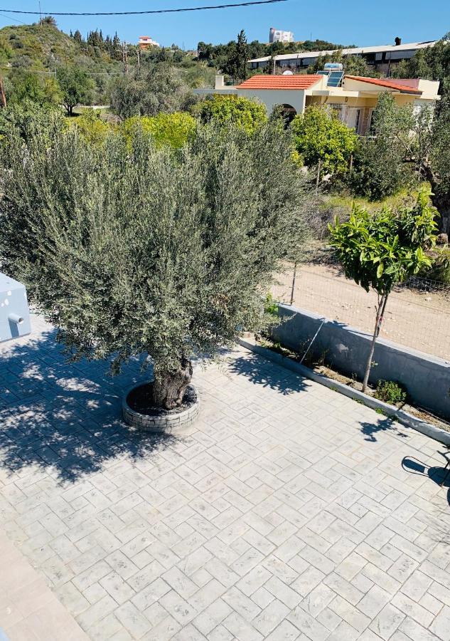 Secret Edem Villa Kolymbia Eksteriør billede